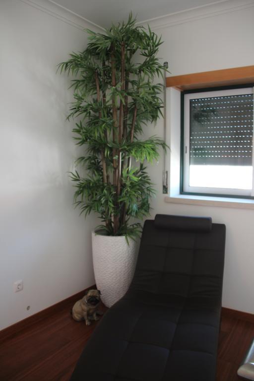 Olive View Villa Vila Nova da Barquinha Dış mekan fotoğraf