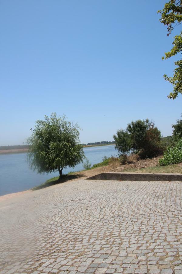 Olive View Villa Vila Nova da Barquinha Dış mekan fotoğraf